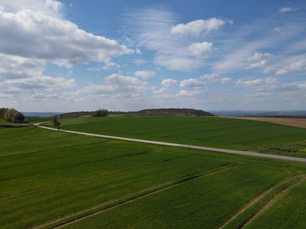 istock Landscape with agriculture fields and a blue cloudy sky in spring 1489049924