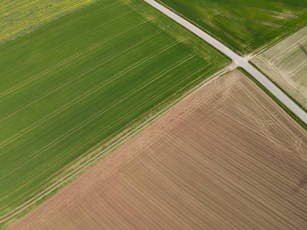 istock Aerial view of plowed and growing agricultural fields in spring 1489050019