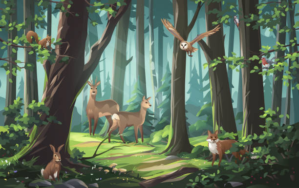 ilustrações de stock, clip art, desenhos animados e ícones de forest animals - tree tree trunk forest glade
