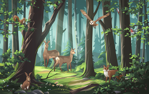Vector illustration of a beautiful sunlit forest with various animals: fox, deer, owl, robin, squirrel, rabbit and woodpecker.