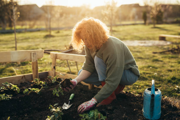 istock woman gerdening in her backyard garden 1489051813