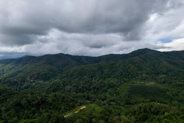istock Top view Landscape of Morning Mist with Mountain 1489053676
