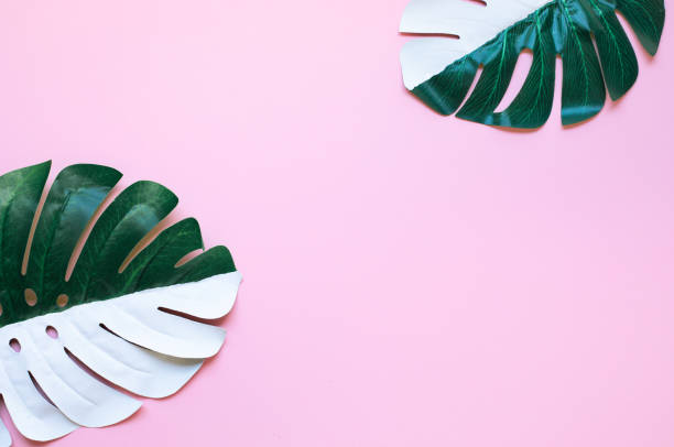 istock tropical leaf,leaves collection for design with pastel and mix spotted color.creative and minimal art nature background.decoration pattern 1489057576