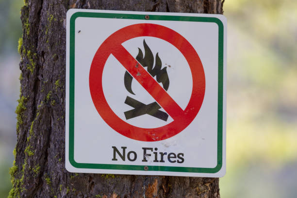 istock No fires sign in a forest. Close-up. 1489057970