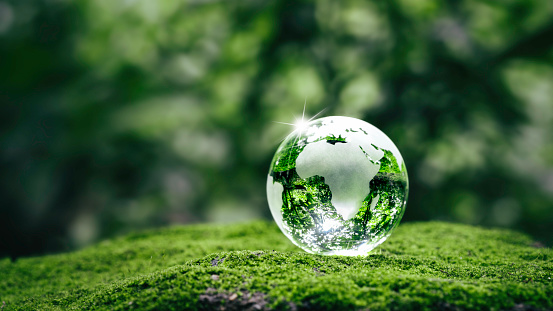 Tierra cristalina sobre helechos en bosque de hierba verde con luz solar. Medio ambiente, salvar el mundo, día de la tierra, ecología y conceptos de conservación. photo