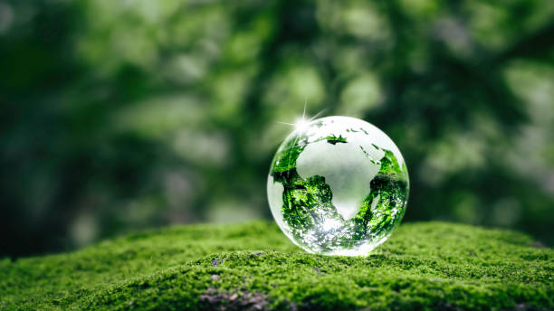 日光��と緑の草林のシダの上の結晶地球。環境、世界を救う、アースデイ、エコロジー、そして保全の概念。 - green business ストックフォトと画像