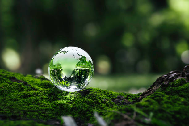 istock Crystal earth on ferns in green grass forest with sunlight. Environment, save the World, earth day, ecology, and Conservation Concepts. 1489061274