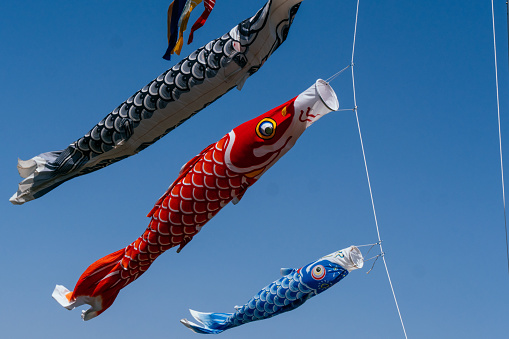 Image of carp streamers swimming in the blue sky