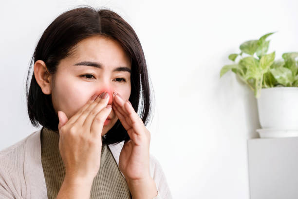 Sinus Troubles with Asian Woman's Nasal Congestion and Discomfort stock photo
