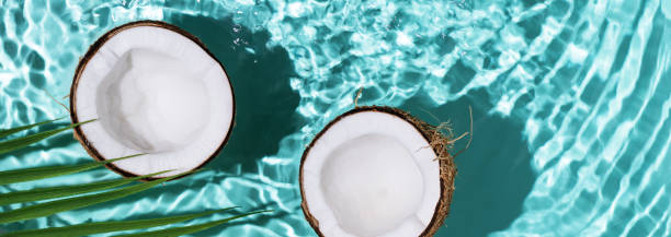 istock Summer background with coconuts on water background with water splashes. 1489069732