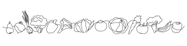 ilustrações de stock, clip art, desenhos animados e ícones de vegetables doodle border frame. continuous line drawing. - cauliflower white backgrounds isolated