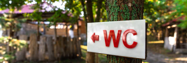 istock WC sign on wood 1489073188