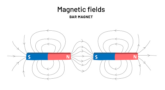 Bar magnet infographic print for school. Magnetic Fields education poster. Magnetism explanation