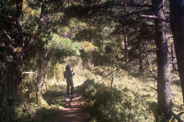 istock Hiking Trail Tataka Taiwan 1489076321