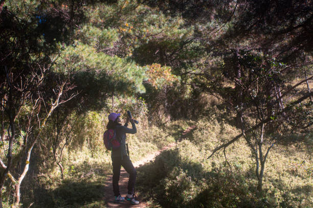 istock Hiking Trail Tataka Taiwan 1489077308