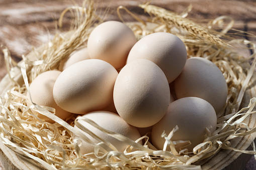 Country chicken eggs laid out in hay