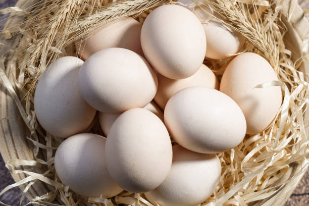 istock Country chicken eggs laid out in hay 1489077808