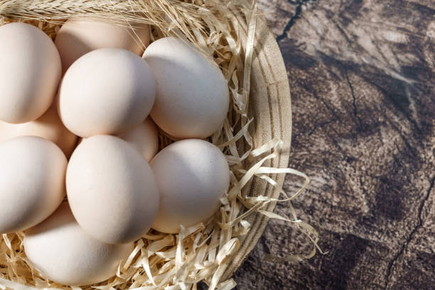 istock Country chicken eggs laid out in hay 1489077809
