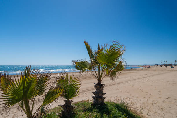 istock Two chairs on a sandy beach in Spain in spring 1489079512