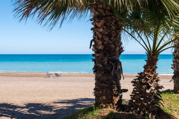 istock Two chairs on a sandy beach in Spain in spring 1489079706