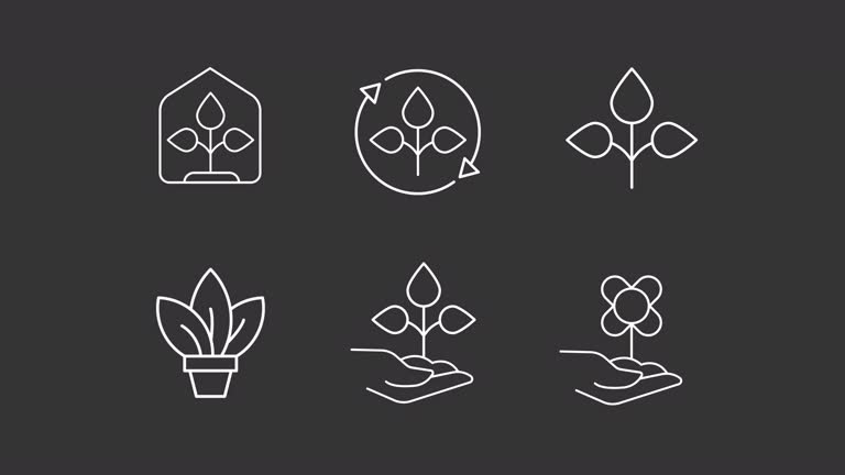 Animated sprouts white line icon set