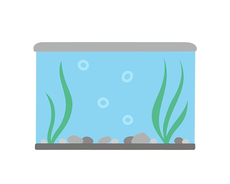 Rectangular aquarium with algae. Vector Illustration for printing, backgrounds, covers and packaging. Image can be used for greeting cards, posters, stickers and textile. Isolated on white background.