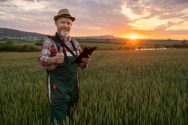 istock Farmer in a wheat field at sunset. 1489086923