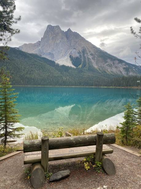 istock Forest, Lake, Mountain - Banff National Park 1489087004