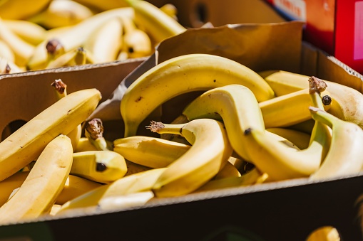 A box filled with fresh, ripe yellow bananas, ready for sale