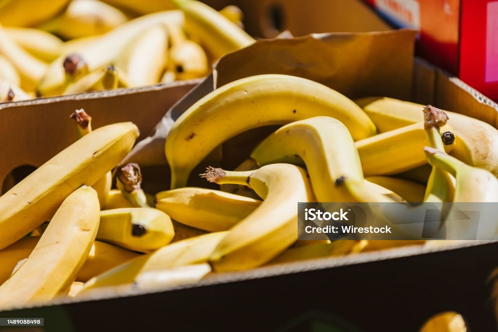 Box filled with fresh, ripe yellow bananas, ready for sale A box filled with fresh, ripe yellow bananas, ready for sale Banana Stock Photo
