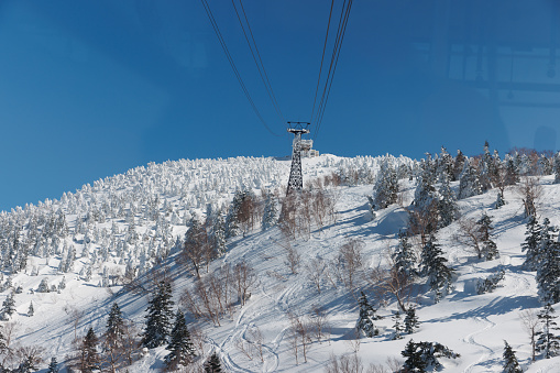 A woman looking out of the window of a cable car ropeway to the mountain tree autumn colors.