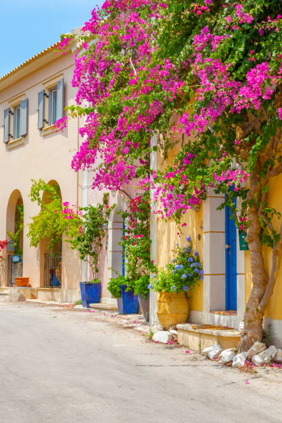istock Street in Kefalonia, Greece 1489090232