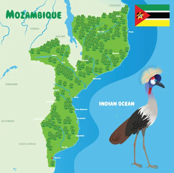 Vector illustration of Mozambique Map, Grey Crowned Crane,