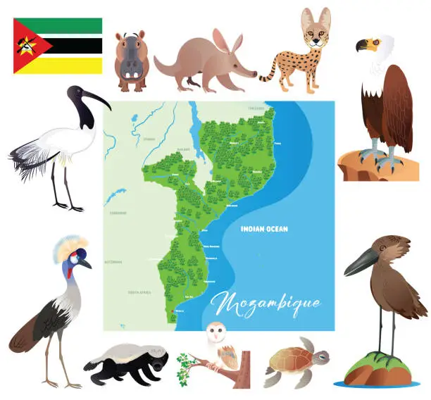 Vector illustration of Mozambique Map