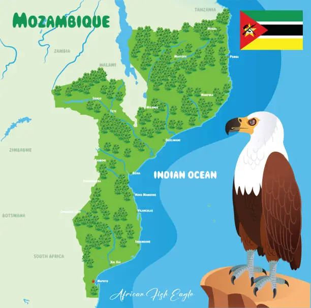 Vector illustration of Mozambique Map and African Fish-Eagle, Haliaeetus Vocifer