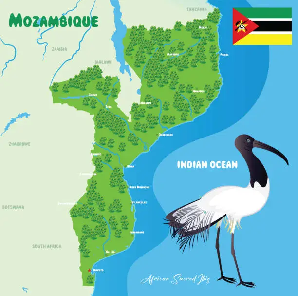 Vector illustration of Mozambique Map and Sacred Ibis
