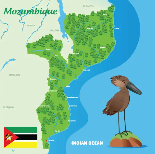 Vector illustration of Mozambique Map and Hamerkop ( Scopus umbretta )