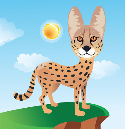 Vector Serval Cat, Leptailurus serval