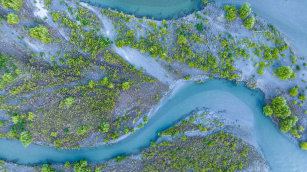 the ecosystem of the river lagoon valley -aerial view. - new zealand forest landscape mountain imagens e fotografias de stock