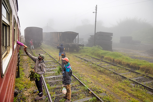 Ambewela Station, Uva Province, Sri Lanka - February 19th 2023:  Three men trying to sell fresh vegetables to the passengers in a standing train on a rainy and foggy day
