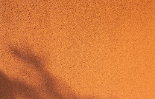 Empty orange concrete wall with foliage shadow. Colored concrete texture. Vibrant wall background. Leaf shadow on orange cement wall. Bold color backdrop. Natural shadow on orange wall. Blank surface.