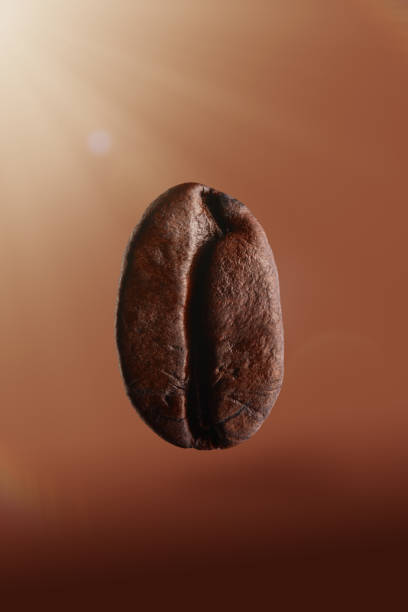 Group of coffee beans falling. One in the center in very close up view. isolated on white background.