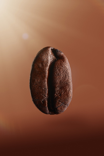 Single roasted coffee bean levitating in mid-air with a soft shadow under on brown background side lit with clipping path