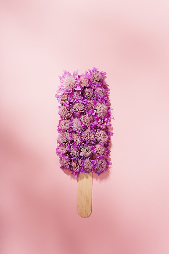 Ice pop, popsicle ice cream made of fresh wildflowers on pink background flat lay. Fresh summer concept