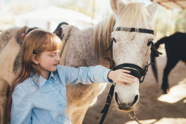 istock A young girl hugging a horse. 1489105833