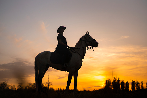 Black silhouette of female cowboy riding horse at sunset