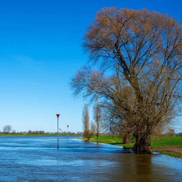 istock View over the river IJssel near Bronckhorst, Netherlands 1489121444