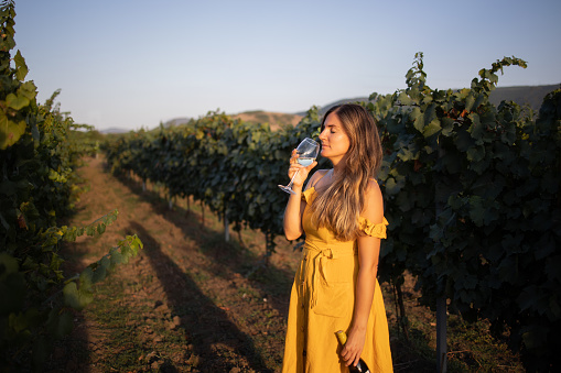 Side view of an unrecognizable millennial tourist in an orange dress enjoying wine and the sunset over the vineyards. Tourist season, autumn, summer, sunset, white wine, vacation, nature, panorama