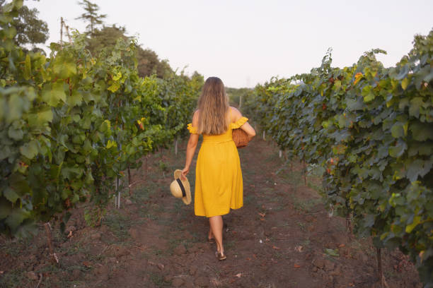 jeune femme marchant entre une rangée de vignes - california panoramic crop field photos et images de collection