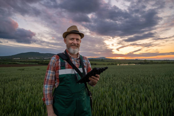 istock Farmer in a wheat field at sunset. 1489126729